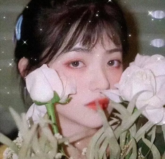 网红教欲